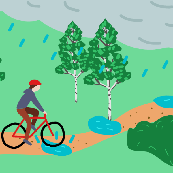 Nordic handbooks published